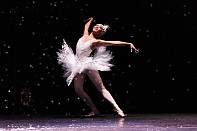 anna ipatieva: ballet performances: 